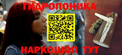 сатива Дубна