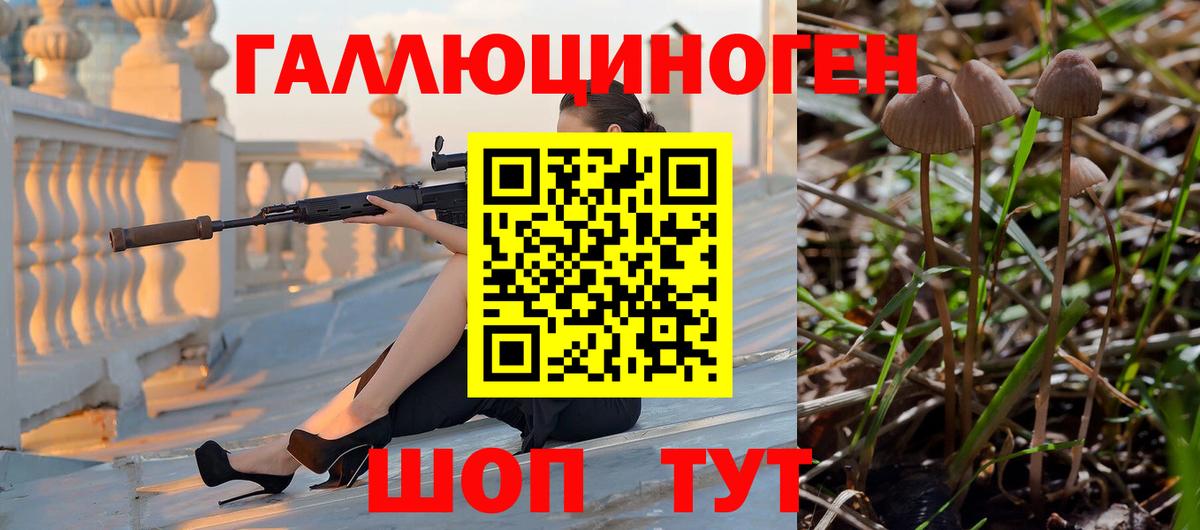 Галлюциногенные грибы мицелий  Вход с VPN  Вязники  Псилоцибиновые грибы ЛСД 